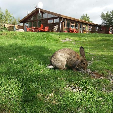 Geysir Hestar Hostel Haukadalur Екстериор снимка