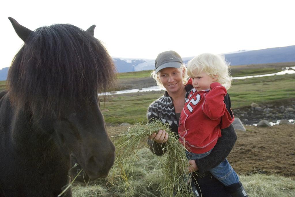 Geysir Hestar Hostel Haukadalur Стая снимка