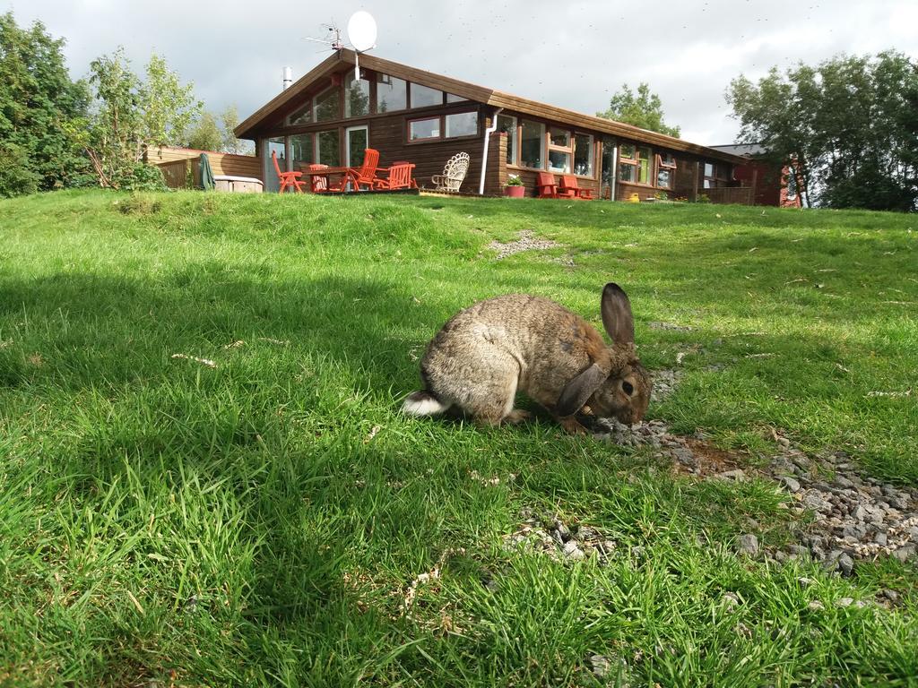 Geysir Hestar Hostel Haukadalur Екстериор снимка